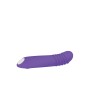 G-Punkt Vibrator Evolved Lila | Tienda24 - Global Online Shop Tienda24.eu