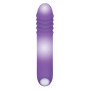 G-Punkt Vibrator Evolved Lila | Tienda24 - Global Online Shop Tienda24.eu