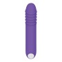 G-Punkt Vibrator Evolved Lila | Tienda24 - Global Online Shop Tienda24.eu