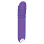 G-Punkt Vibrator Evolved Lila | Tienda24 - Global Online Shop Tienda24.eu