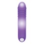 G-Punkt Vibrator Evolved Lila | Tienda24 - Global Online Shop Tienda24.eu