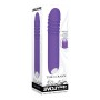 G-Punkt Vibrator Evolved Lila | Tienda24 - Global Online Shop Tienda24.eu