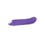 G-Punkt Vibrator Evolved Lila | Tienda24 - Global Online Shop Tienda24.eu