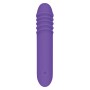 G-Punkt Vibrator Evolved Lila | Tienda24 - Global Online Shop Tienda24.eu