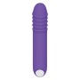 G-Punkt Vibrator Evolved Lila | Tienda24 - Global Online Shop Tienda24.eu