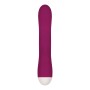 G-Punkt Vibrator Evolved Rosa | Tienda24 - Global Online Shop Tienda24.eu