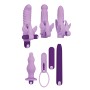 Vibratore Mini Evolved Lilac Desires Viola | Tienda24 - Global Online Shop Tienda24.eu