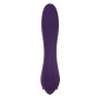 Vibrator Evolved Lila | Tienda24 - Global Online Shop Tienda24.eu