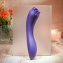 Vibrator Evolved Lila | Tienda24 - Global Online Shop Tienda24.eu