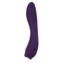 Vibrator Evolved Lila | Tienda24 - Global Online Shop Tienda24.eu