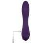 Vibrator Evolved Lila | Tienda24 - Global Online Shop Tienda24.eu