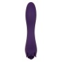 Vibrator Evolved Lila | Tienda24 - Global Online Shop Tienda24.eu