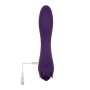 Vibrator Evolved Lila | Tienda24 - Global Online Shop Tienda24.eu