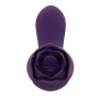 Vibrator Evolved Lila | Tienda24 - Global Online Shop Tienda24.eu