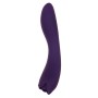 Vibrator Evolved Lila | Tienda24 - Global Online Shop Tienda24.eu