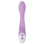 G-Spot Vibrator Evolved Pink | Tienda24 - Global Online Shop Tienda24.eu