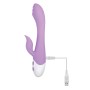 G-Spot Vibrator Evolved Pink | Tienda24 - Global Online Shop Tienda24.eu