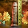 Realistic Dildo Evolved PVC Ø 4 cm (15,2 cm) | Tienda24 - Global Online Shop Tienda24.eu