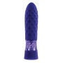 Mini Vibrador Evolved Raver Morado | Tienda24 - Global Online Shop Tienda24.eu