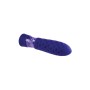 Mini Vibrador Evolved Raver Morado | Tienda24 - Global Online Shop Tienda24.eu