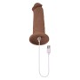 Natürliches Dildo Evolved Silikon Ø 5 cm (17,8 cm) | Tienda24 - Global Online Shop Tienda24.eu