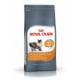 Cat food Royal Canin Hair&Skin Care Chicken 400 g | Tienda24 Tienda24.eu