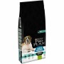 Hundefutter Purina Erwachsener Lamm 14 Kg | Tienda24 Tienda24.eu