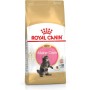 Comida para gato Royal Canin Maine coon Frango Arroz Pássaros 400 g | Tienda24 Tienda24.eu