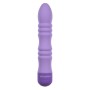 Bullet Vibrator Evolved Purple | Tienda24 - Global Online Shop Tienda24.eu