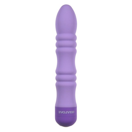 Bullet Vibrator Evolved Purple | Tienda24 - Global Online Shop Tienda24.eu