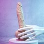 Realistic Dildo Evolved Silicone ABS Ø 3,5 cm (16,5 cm) | Tienda24 - Global Online Shop Tienda24.eu