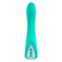 Vibrator Evolved grün | Tienda24 - Global Online Shop Tienda24.eu