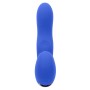 Vibrator Evolved Blue | Tienda24 - Global Online Shop Tienda24.eu