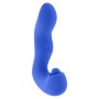 Vibrator Evolved Blue | Tienda24 - Global Online Shop Tienda24.eu