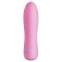 Mini Vibrador FemmeFunn Ffix Bullet Rosa | Tienda24 - Global Online Shop Tienda24.eu