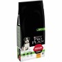 Io penso Purina 12367294 Adulto Pollo 12 kg