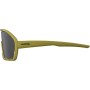 Men's Sunglasses Alpina BONFIRE | Tienda24 Tienda24.eu