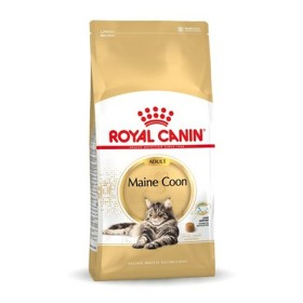 Cibo per gatti Royal Canin Maine Coon Adult + 1 Anno Adulto Uccelli 10