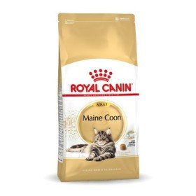 Aliments pour chat Royal Canin Outdoor Adulte Poulet 2 Kg | Tienda24 Tienda24.eu