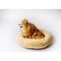 Pet bed GO GIFT XL 80 x 10 x 80 cm | Tienda24 Tienda24.eu