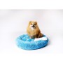 Cama para cães GO GIFT XL Azul 80 x 10 x 80 cm | Tienda24 Tienda24.eu