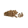 Dog Snack Petmex Wild Boar 500 g | Tienda24 Tienda24.eu