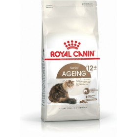 Aliments pour chat Eukanuba Grain Free Adult Salmon Poisson 2 Kg | Tienda24 Tienda24.eu