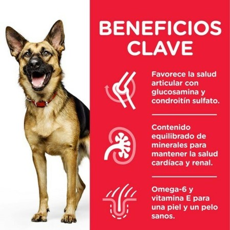 Hundefutter Hill's Science plan canine Huhn Schwein 14 Kg | Tienda24 Tienda24.eu