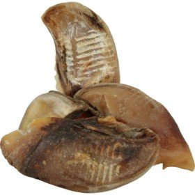 Snack pour chiens Zolux dried pig ear Cochon | Tienda24 Tienda24.eu