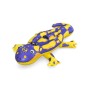 Bestway Figure Gonflable Salamandre avec Poignées 191x119 cm +3 Ans Plage et Piscine 41502 de Bestway, Bouées et Matelas gonf...