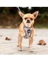 Dog Harness Disney Grey | Tienda24 Tienda24.eu