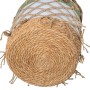 Korbsatz Alexandra House Living 03788 Weiß grün korb Rattan Naturfaser (3 Stück) | Tienda24 - Global Online Shop Tienda24.eu