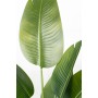 Decorative Plant Romimex Strelitzia Plastic 75 x 110 x 75 cm by Romimex, Artificial Plants - Ref: D1628933, Price: 64,92 €, D...