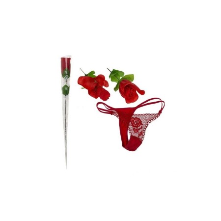 Set Erótico Divertysex Rojo 12 Piezas de Divertysex, Kits - Ref: M0401450, Precio: 46,38 €, Descuento: %